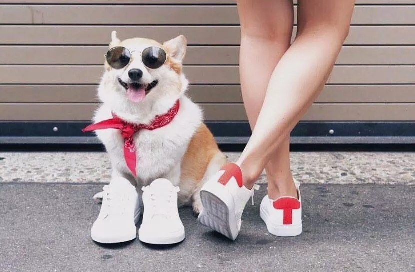 短腿美图,高清小短腿美图