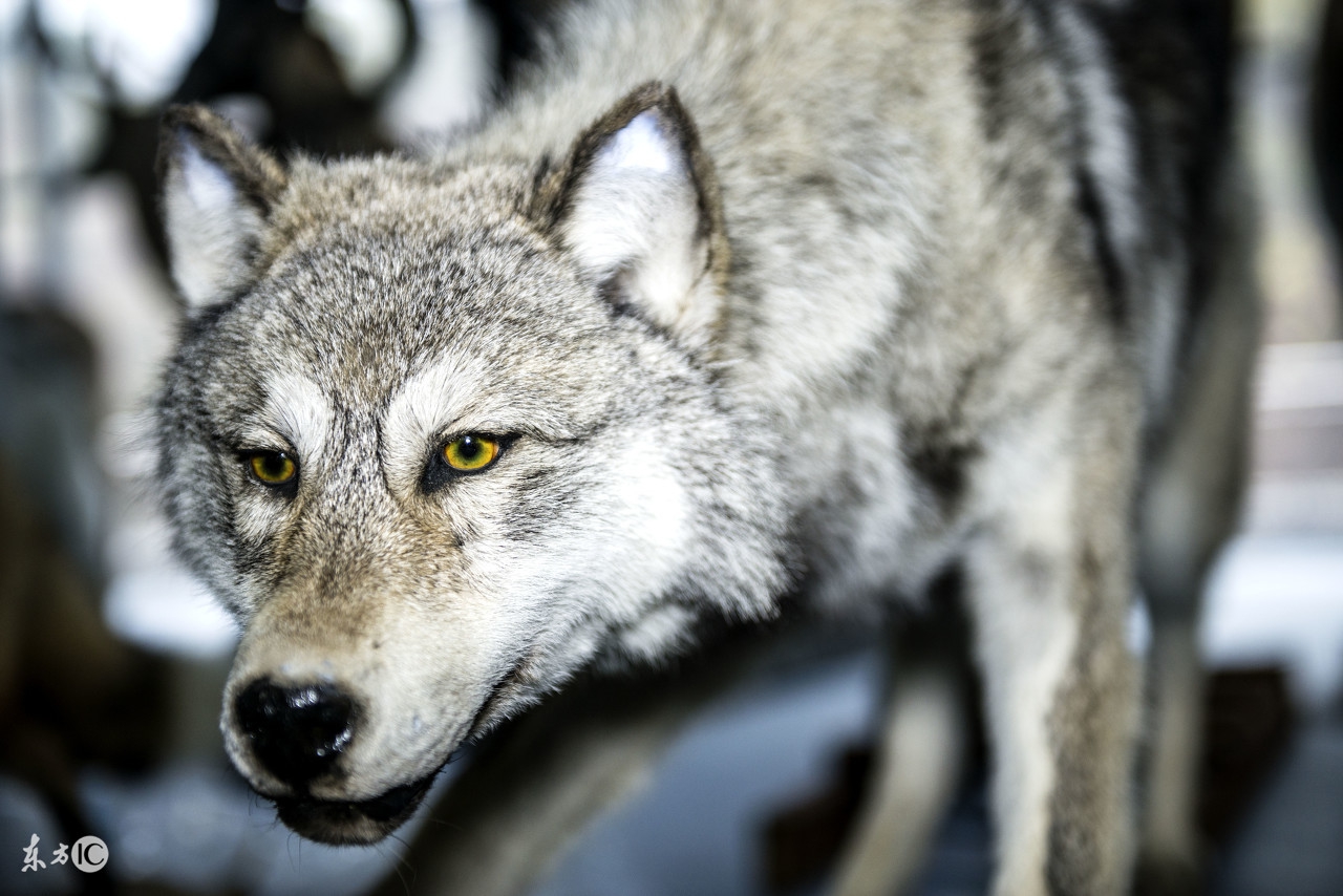 人工智能时代即将被淘汰职业,人工智能会给职业带来怎样的影响