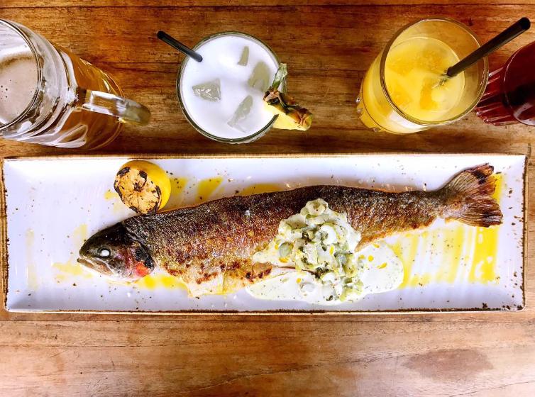 来加拿大埃德蒙顿跑马拉松的四个理由