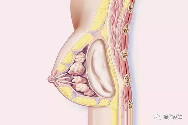 乳腺增生不吃药最简单的自愈方法,预防乳腺增生的食物有哪些