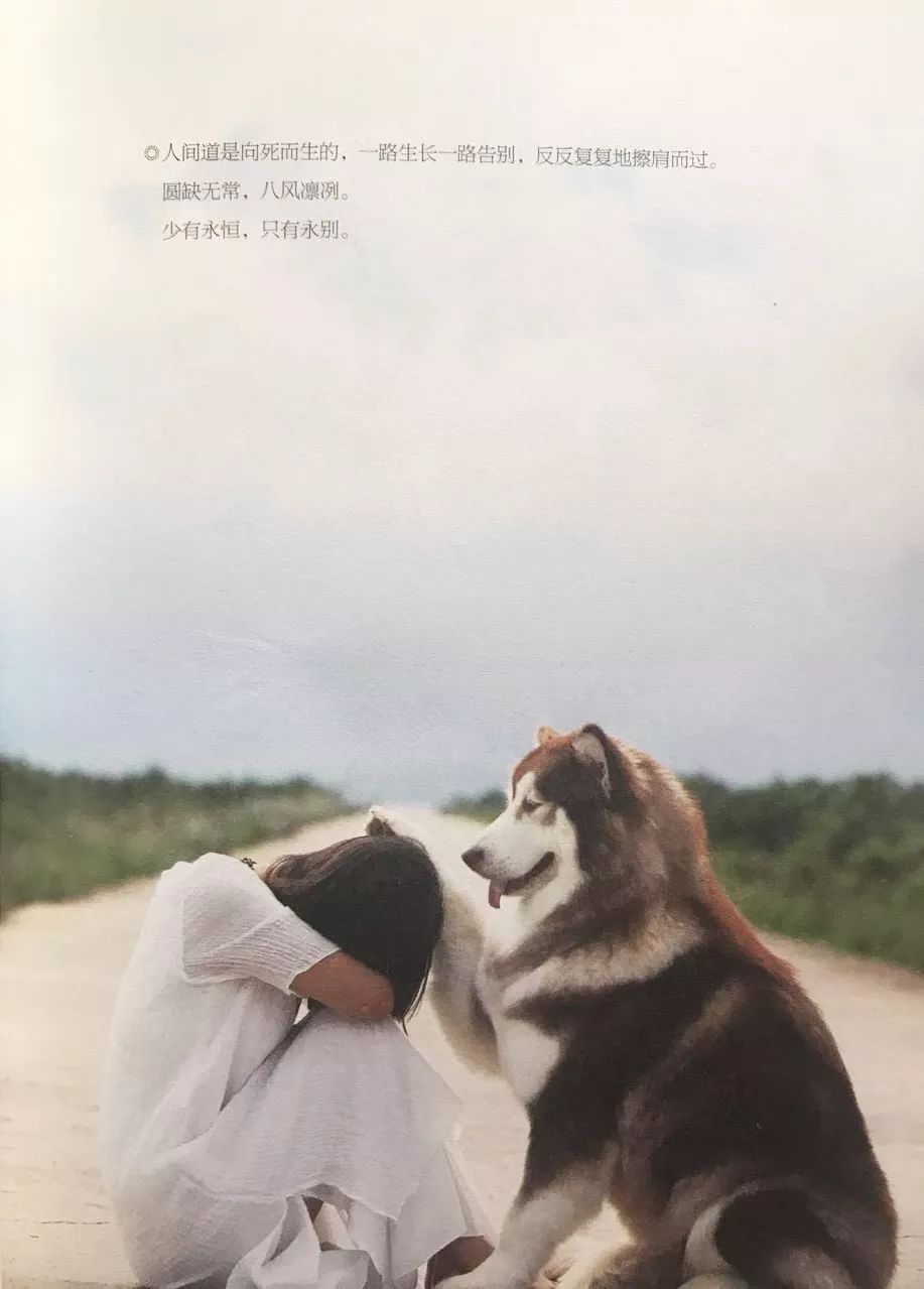 大冰畅销书和谁齐名,百万畅销书大冰2018