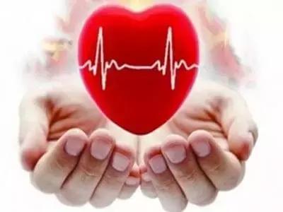 六经八纲辨证怎么用,六经八纲辨证方子