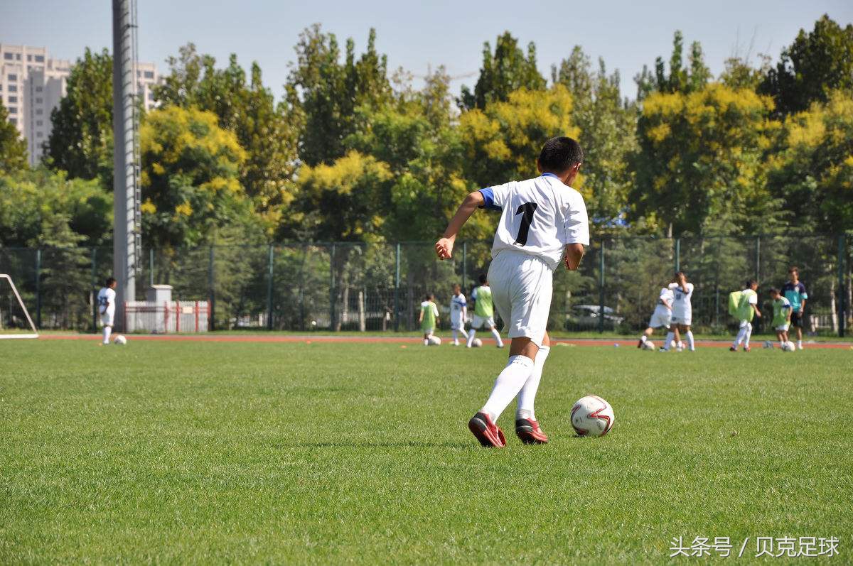 想把小孩送去踢球,想送孩子去塞尔维亚踢球