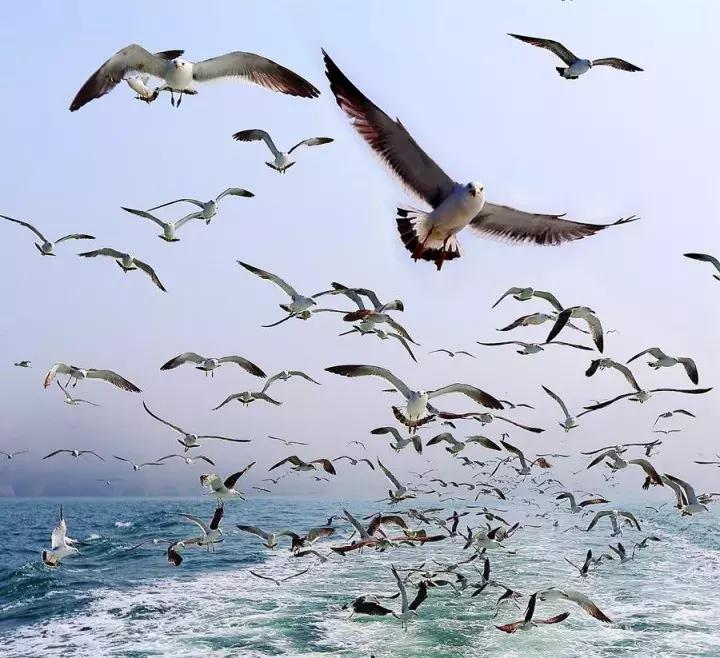 被遗忘的岛屿与世隔绝18000年,被遗忘的海岛完整