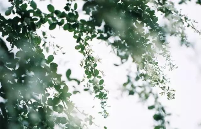 东郊首推：最近，你怎么不发朋友圈了