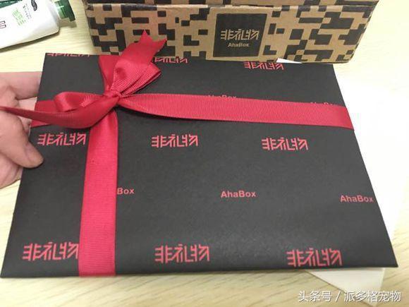 捡到一只小金毛,夫妻俩救助一只濒死的小金毛