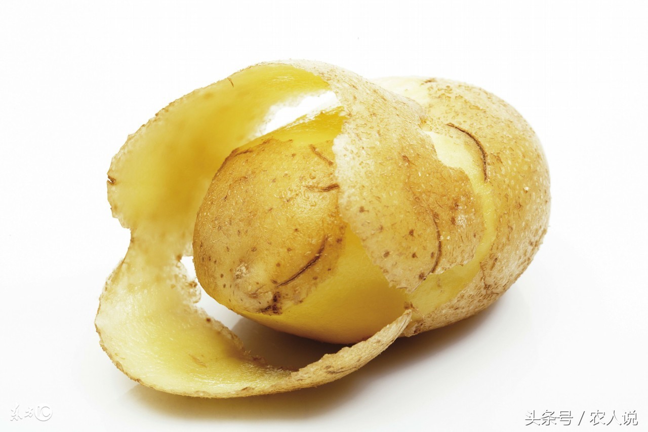 马铃薯最新价格走势土豆网,2020年度马铃薯批发价格