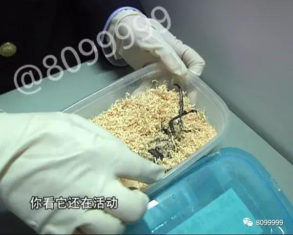 海关截获进境邮包,跨境包裹海关检疫管理办法