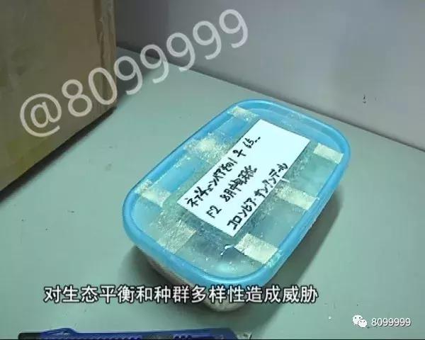 海关截获进境邮包,跨境包裹海关检疫管理办法