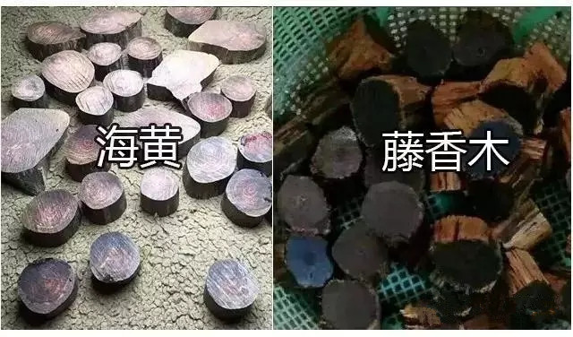 黄花梨怎么鉴定真假图解,海南黄花梨的鉴定方法和真假对比