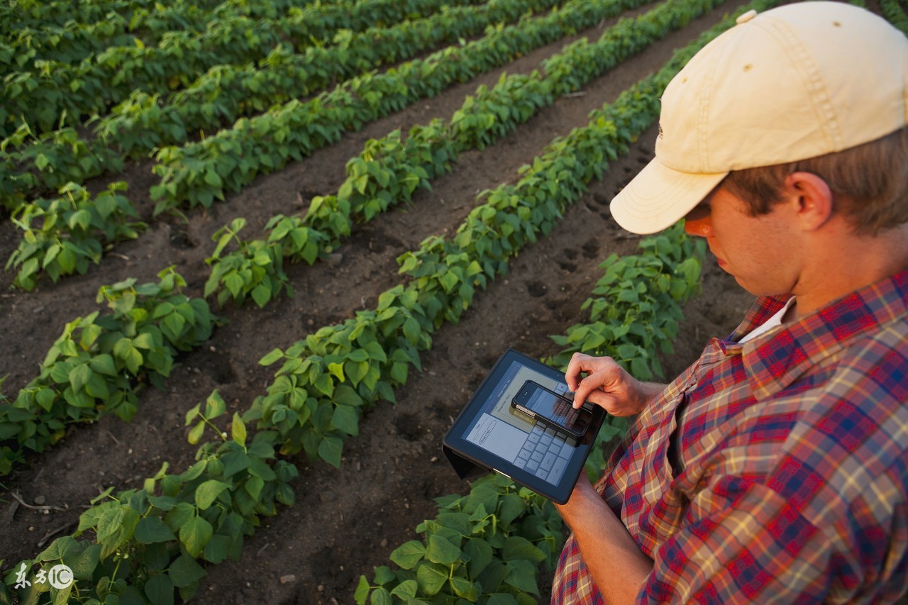 卖农药怎么把生意做好,农药生意经营模式