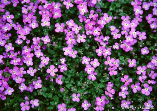 巾帼国医,巾帼英雄排行榜