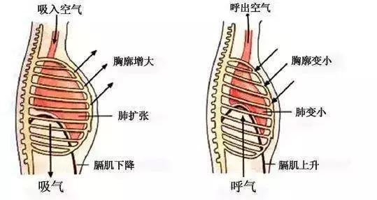 胸闷是怎么引起的,胸闷是什么原因造成的