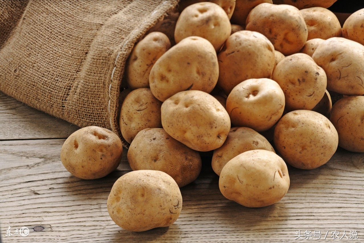 马铃薯最新价格走势土豆网,2020年度马铃薯批发价格