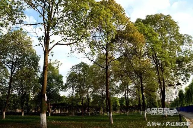 内江近代史遗迹故事,内江故事