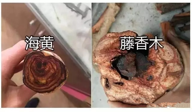 黄花梨怎么鉴定真假图解,海南黄花梨的鉴定方法和真假对比