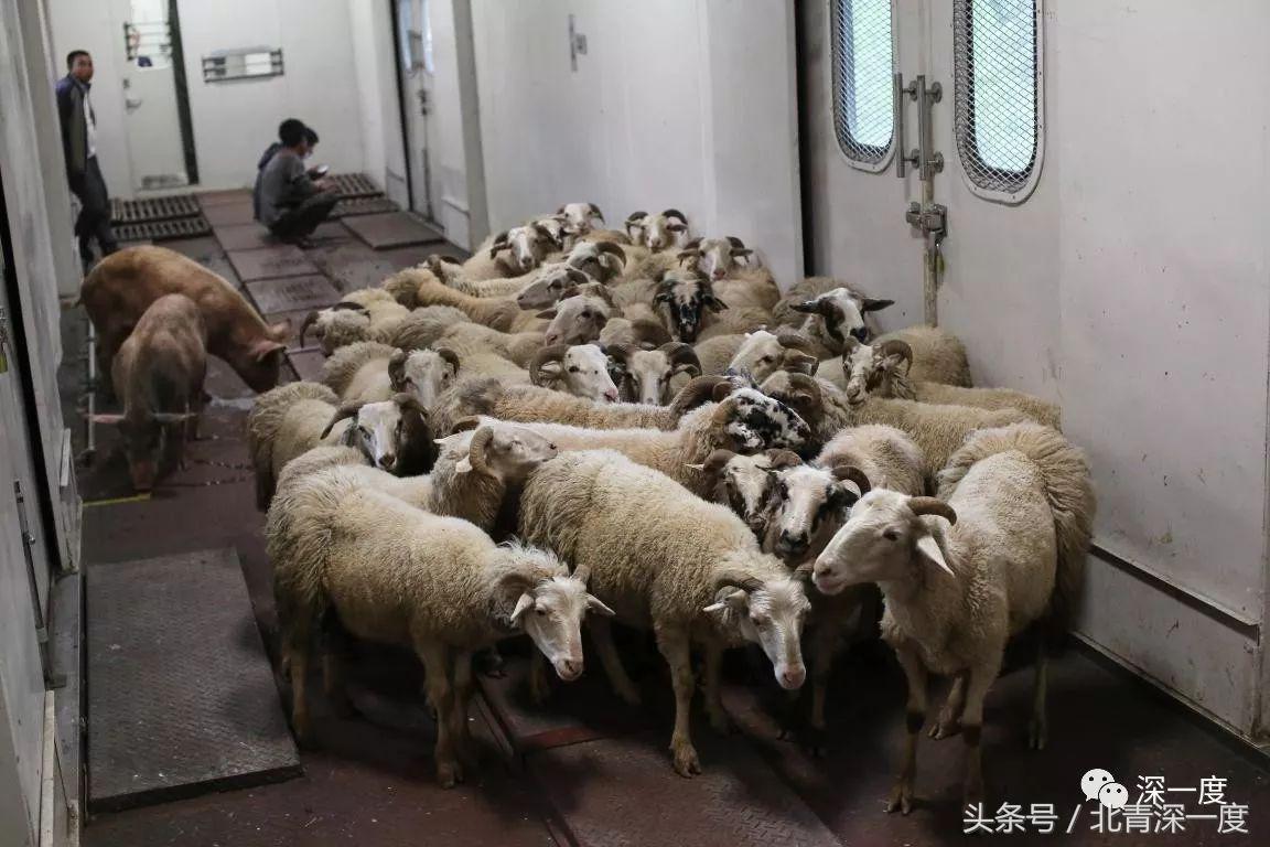 「看见」泥坑里的“鹿晗”和吃土豆的孩子：80张图，读懂中国脱贫