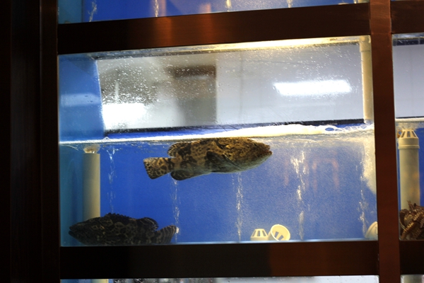 冬天火锅怎么吃才健康,花胶鸡汤火锅配什么蘸料