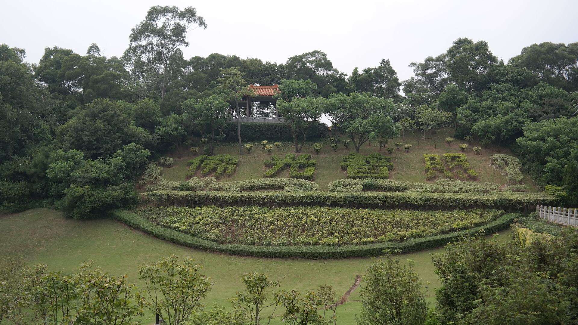 超强攻略广州长隆vs珠海长隆,长隆攻略最佳路线万圣节