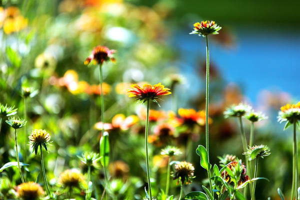 榫欏瓙婀栧ぇ瀛﹀煄鍜岄緳婀栧ぇ瀛﹀煄,榫欐箹澶у鍩庡拰榫欏瓙婀栧ぇ瀛﹀煄
