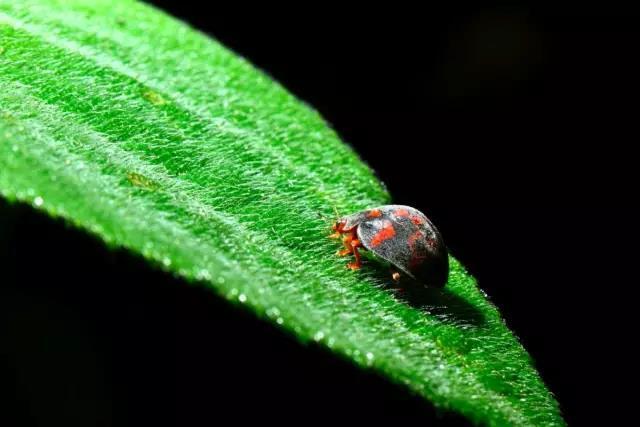 一个90后摄影师,一个90后的摄影师
