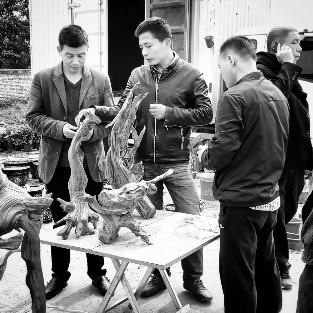 灞桥集市百态,灞桥人像写真