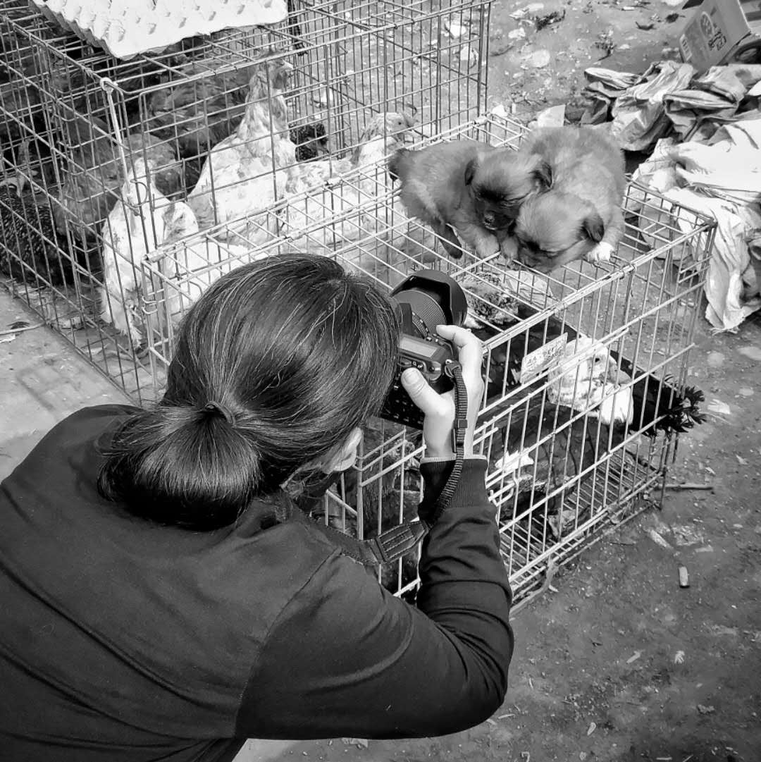 灞桥集市百态,灞桥人像写真