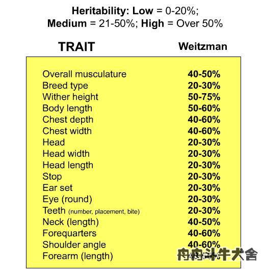 法国斗牛犬产仔后怎么养,法国斗牛犬如何受孕