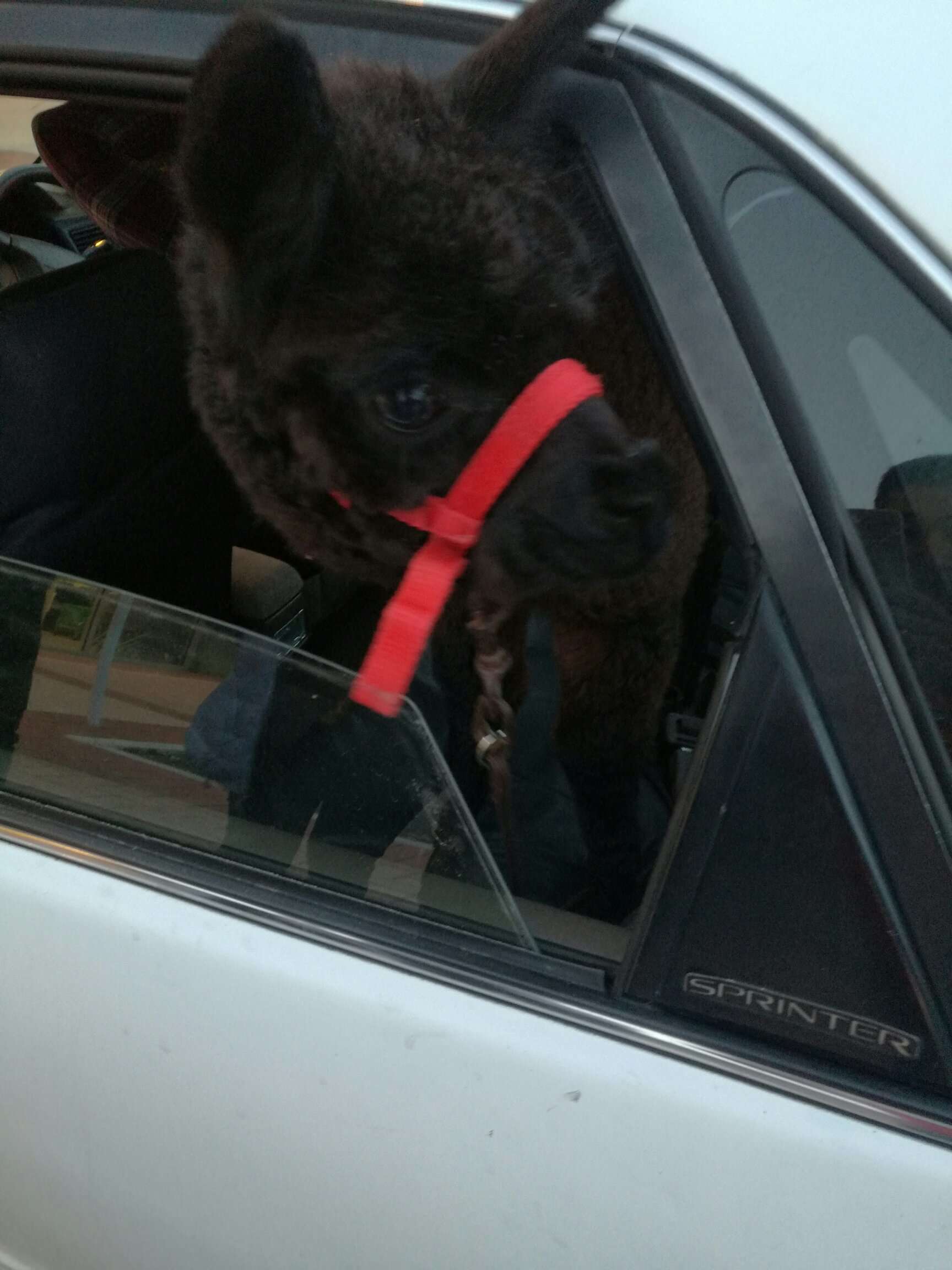 新西兰旅游自由行最佳路线攻略,新西兰纯净之路