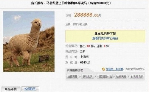 淘宝都有什么奇葩商品,淘宝那些卖的奇葩的东西