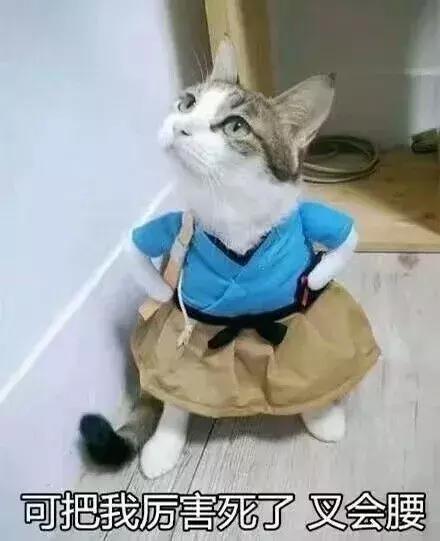 当你听不懂四六级听力的时候,四六级听力蒙的能过吗