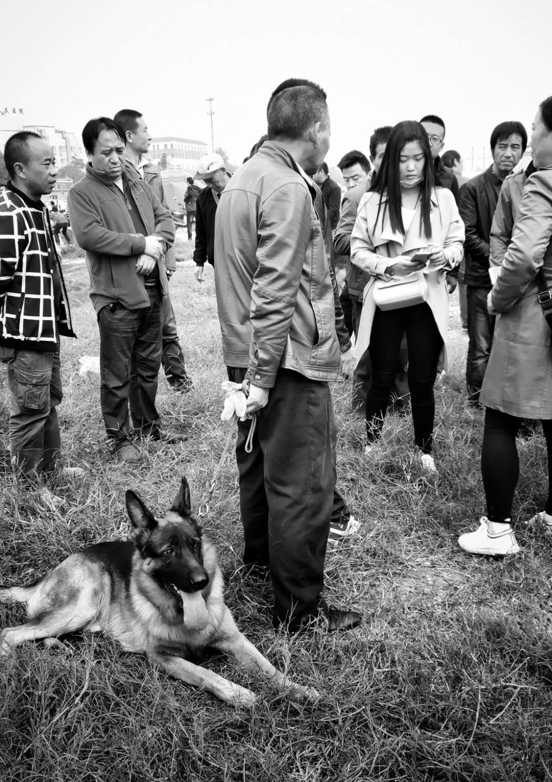 灞桥集市百态,灞桥人像写真