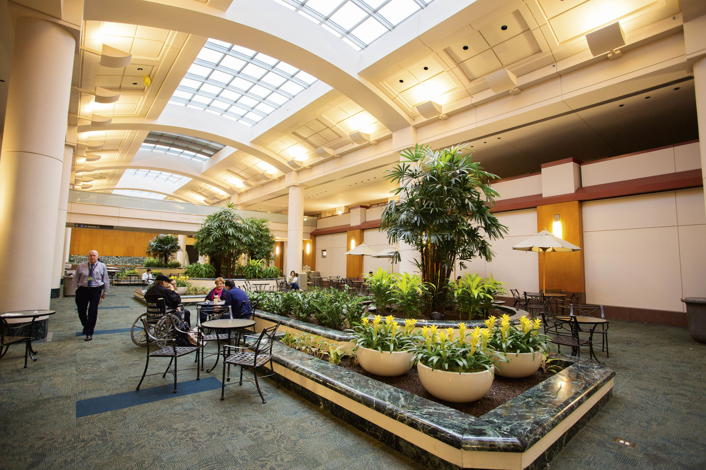 在美国治疗癌的经历,一个赴美治疗癌症的故事