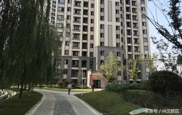 十张图让你看清,十张让你感动的图片