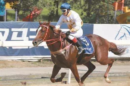 一大波的好消息袭来,前方一大波高能正在来袭