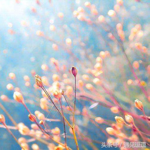 说一条可能会“祖传”的小经验，第一条我就跪了