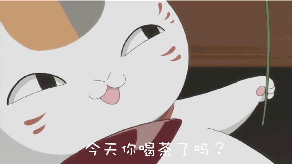 一张图学会七大茶系分类,介绍中国六大茶系的视频