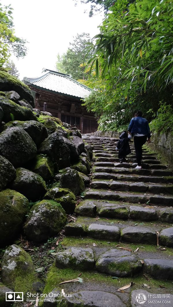 十一假期去日本,十一带着父母旅游攻略