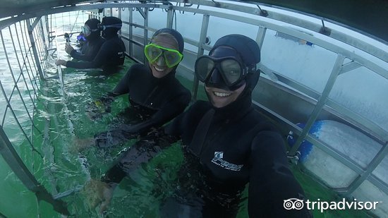 极限运动会导致肾上腺素飙升,极限运动可以促进肾上腺素分泌吗
