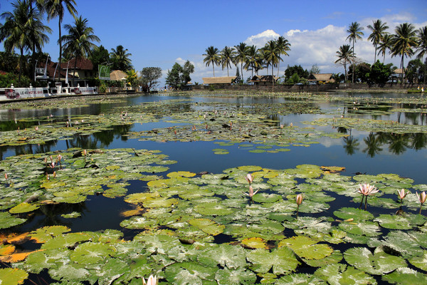 去巴厘岛玩需要换什么币,去巴厘岛兑换美元