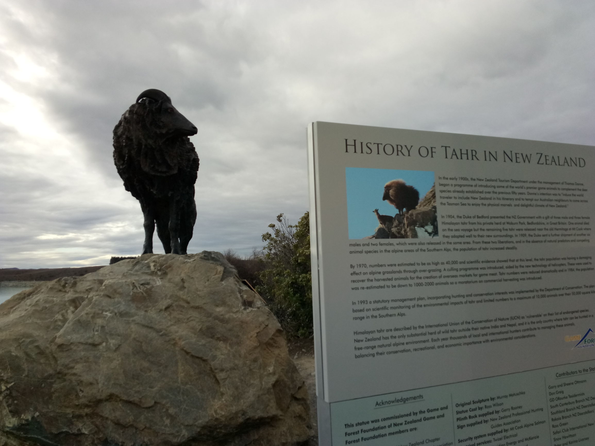 新西兰旅游自由行最佳路线攻略,新西兰纯净之路