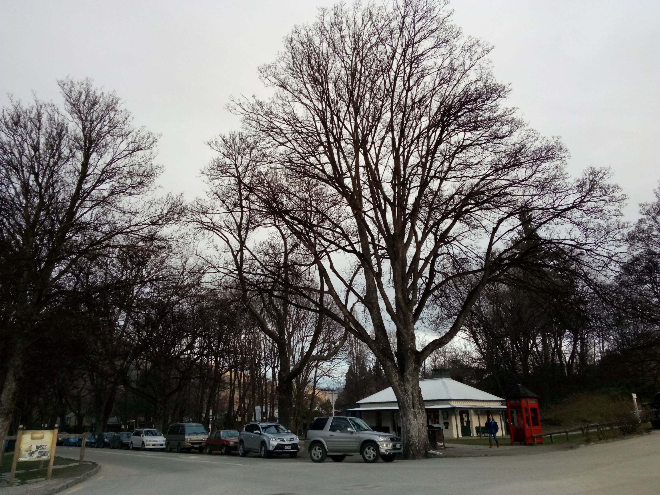 新西兰旅游自由行最佳路线攻略,新西兰纯净之路