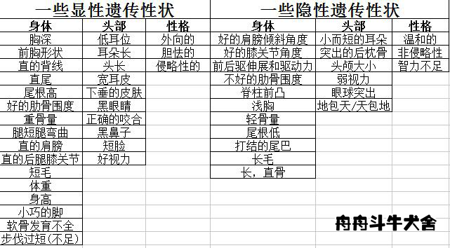 法国斗牛犬产仔后怎么养,法国斗牛犬如何受孕