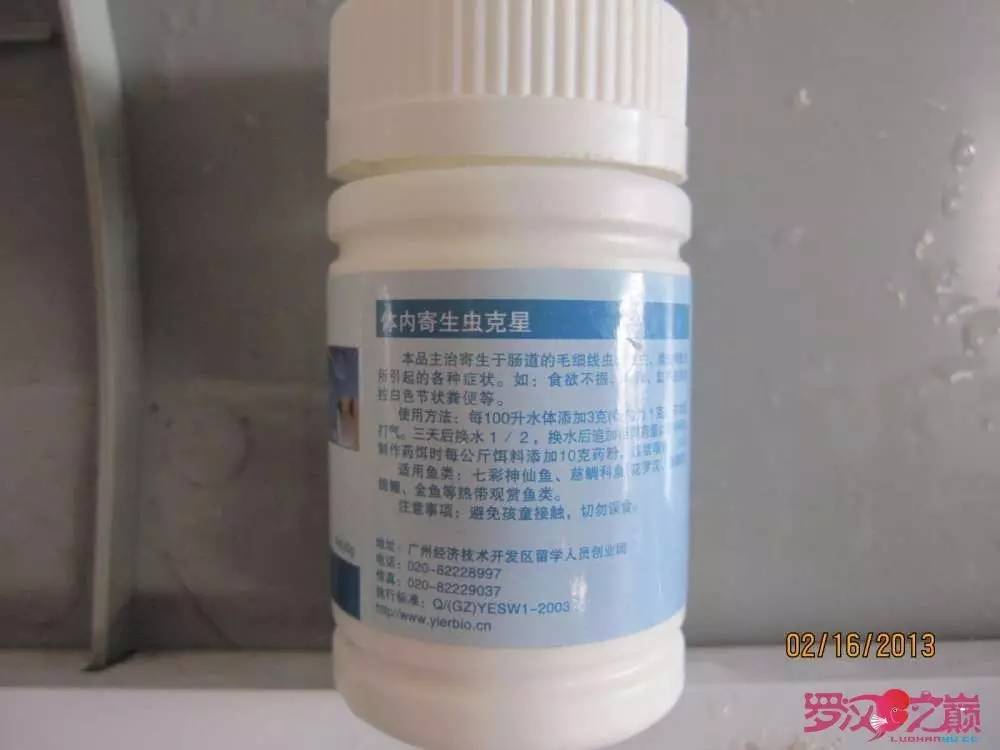 慢性肠炎的症状表现及治疗方法,慢性肠炎用中医还是西医治疗好