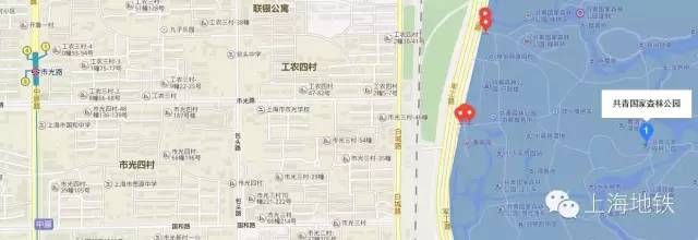 看樱花不用远赴日本,看樱花不用去武汉关庙也可以看