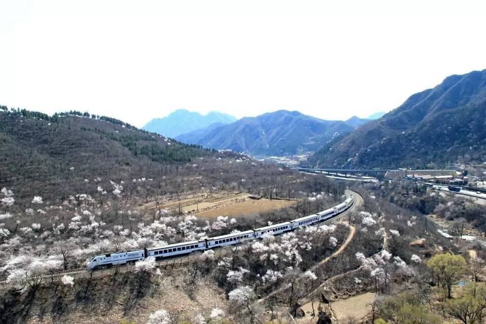 开往春天的列车图片唯美,开往春天的列车看图作文