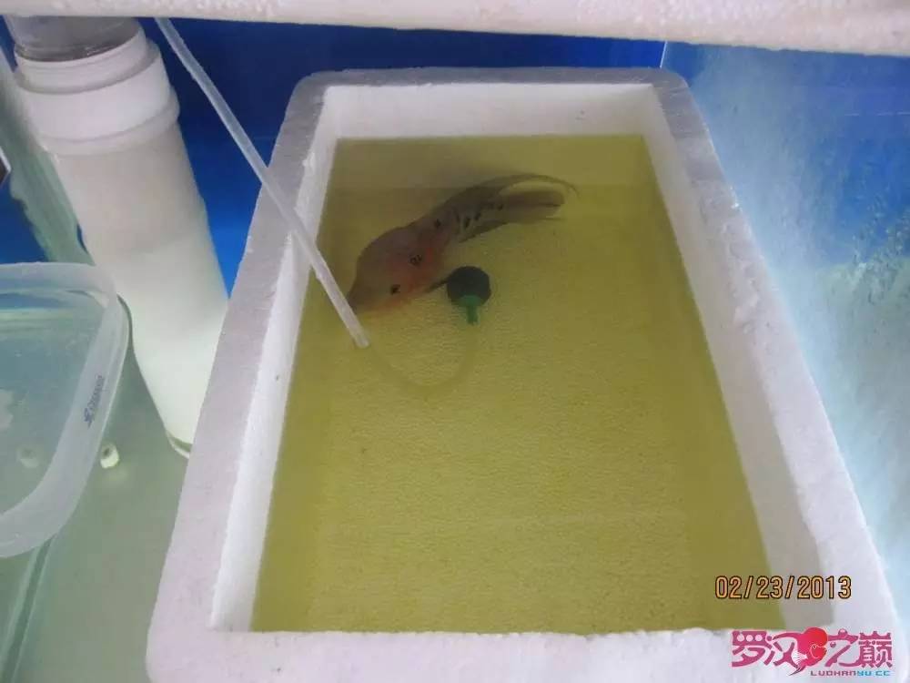 慢性肠炎的症状表现及治疗方法,慢性肠炎用中医还是西医治疗好