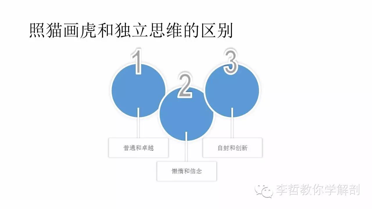 康复治疗学物理治疗,功能解剖学主要介绍什么