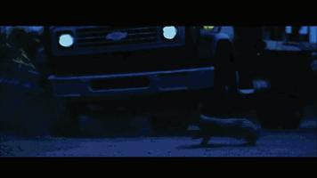 密集恐惧症慎点完整版,密集恐惧症