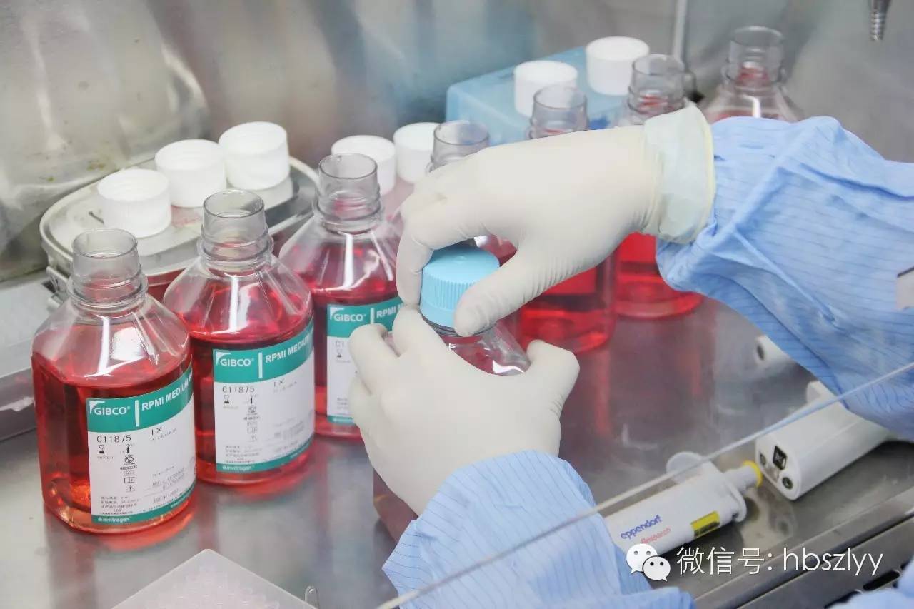 揭秘记者亲感：血液中“星星之火”如何体外培养成抗癌主力